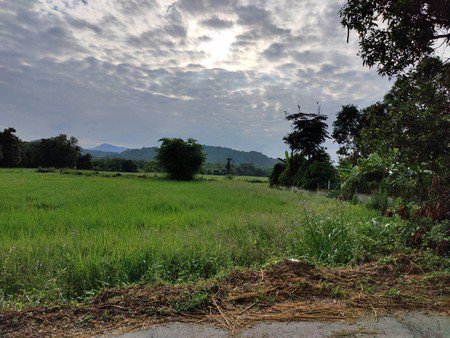 ขายที่ดิน-จนครนายก-2ไร่2งาน36ตรว