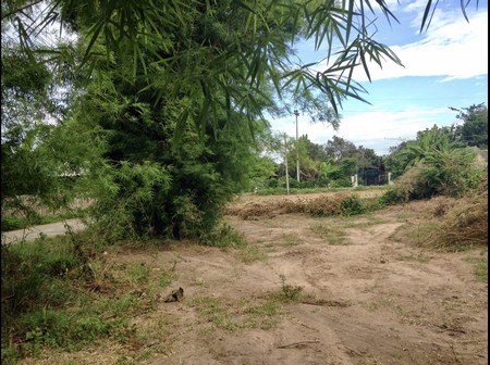 ขายที่ดินเปล่า-แปลงมุม-อำเภอสันป่าตอง-จังหวัดเชียงใหม่-เนื้อที่-1-ไร่-21-ตารางวา