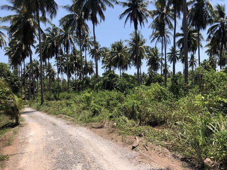 ขายที่ดินติดทะเลสวยๆ-ราคาถูก-บางสะพาน-จประจวบ