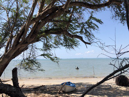 ขายที่ดินติดทะเลสวยๆ-ราคาถูก-บางสะพาน-จประจวบ