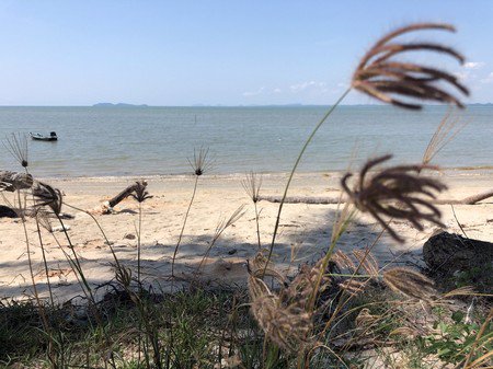 ขายที่ดินติดทะเลสวยๆ-ราคาถูก-บางสะพาน-จประจวบ