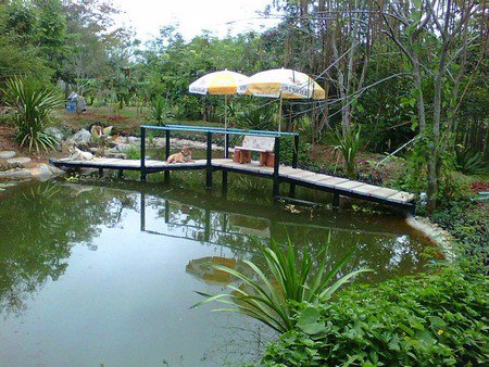 ขายที่ดินรวมสิ่งปลูกสร้างบ้านเดี่ยวหรูเขตเขาใหญ่-11-ไร่-26-ตารางวา