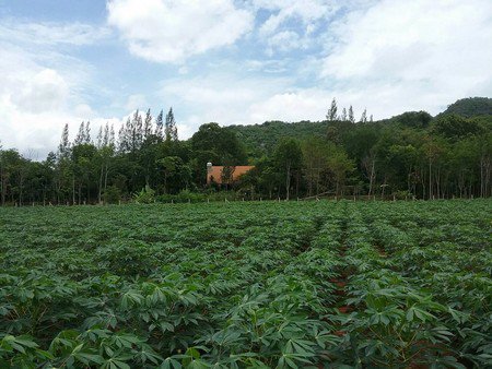 ขายที่ดินรวมสิ่งปลูกสร้างบ้านเดี่ยวหรูเขตเขาใหญ่-11-ไร่-26-ตารางวา