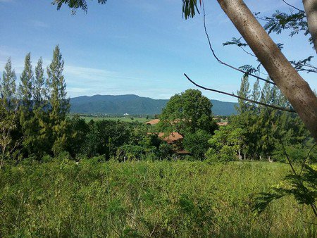 ขายที่ดินรวมสิ่งปลูกสร้างบ้านเดี่ยวหรูเขตเขาใหญ่-11-ไร่-26-ตารางวา