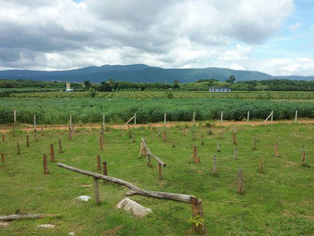 ขายที่ดินรวมสิ่งปลูกสร้างบ้านเดี่ยวหรูเขตเขาใหญ่-11-ไร่-26-ตารางวา