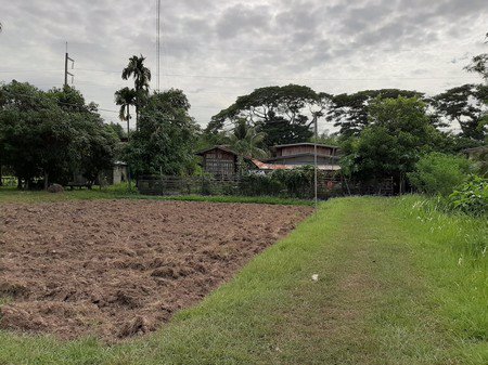 ขายที่ดินทำเลดีวิวสวยและติดถนนดำ-4-เลนใหญ่