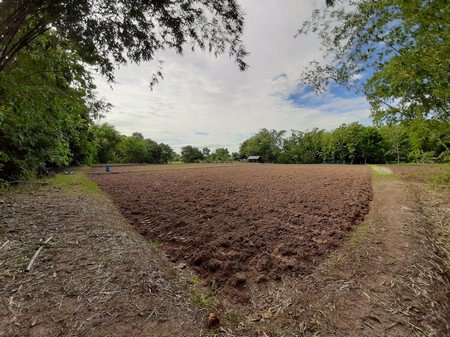 ขายที่ดินทำเลดีวิวสวยและติดถนนดำ-4-เลนใหญ่