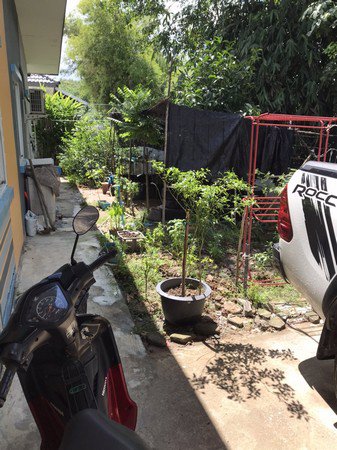 ขายบ้านแฝดชั้นเดียว-อยู่ในชุมชนมาบข่าใน-นิคมพัฒนา-ระยอง-พื้นที่ตัวบ้าน-30-ตารางวา