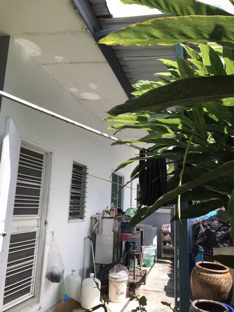 ขายบ้านแฝดชั้นเดียว-อยู่ในชุมชนมาบข่าใน-นิคมพัฒนา-ระยอง-พื้นที่ตัวบ้าน-30-ตารางวา