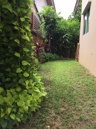 ขายบ้านเดี่ยว-2-ชั้น-โครงการปริญญดา-สามัคคี-ทำเลดี-สังคมดี-เดินทางสะดวก-พร้อมเข้าอยู่