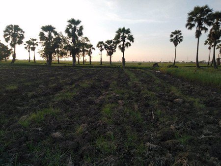 ที่ดินสวยทำเลดี-เนื้อที่-5-ไร่-อำเภอเมือง-จังหวัดเพรชบุรี