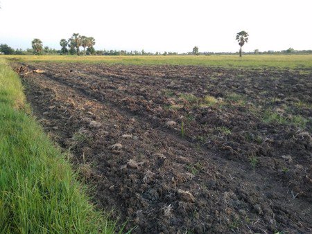 ที่ดินสวยทำเลดี-เนื้อที่-5-ไร่-อำเภอเมือง-จังหวัดเพรชบุรี