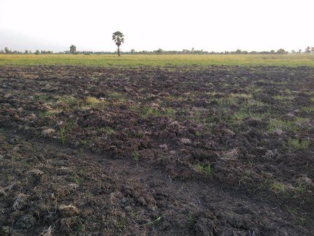 ที่ดินสวยทำเลดี-เนื้อที่-5-ไร่-อำเภอเมือง-จังหวัดเพรชบุรี