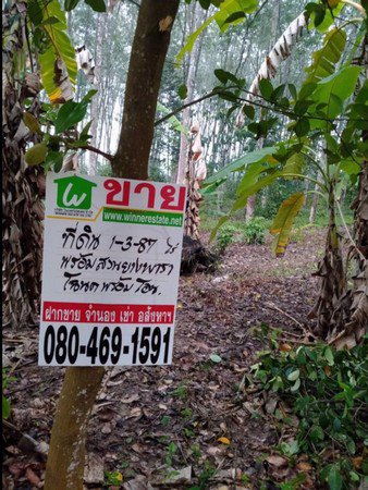 ขายที่ดินสวนยางพารา-โฉนดที่ดินรวม-2-แปลง-จำนวน-3-ไร่-3-งาน-69-ตารางวา
