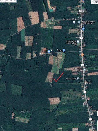 ขายที่ดินสวนยางพารา-โฉนดที่ดินรวม-2-แปลง-จำนวน-3-ไร่-3-งาน-69-ตารางวา