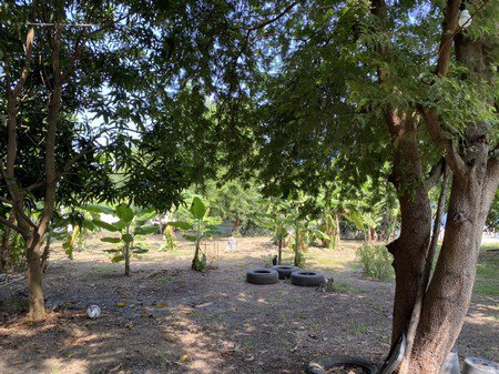 ขายบ้านสองหลังพร้อมที่ดิน-จพระนครศรีอยุธยา-เนื้อที่รวม-1-ไร่-13-ตารางวา