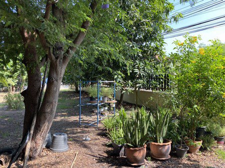 ขายบ้านสองหลังพร้อมที่ดิน-จพระนครศรีอยุธยา-เนื้อที่รวม-1-ไร่-13-ตารางวา