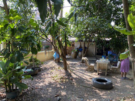 ขายบ้านสองหลังพร้อมที่ดิน-จพระนครศรีอยุธยา-เนื้อที่รวม-1-ไร่-13-ตารางวา