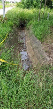 ขายบ้านพร้อมที่ดิน-ปักธงชัย-นครราชสีมา-เนื้อที่รวม-52-ไร่-พื้นที่เยอะมากๆ