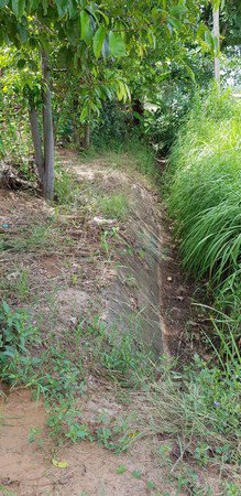 ขายบ้านพร้อมที่ดิน-ปักธงชัย-นครราชสีมา-เนื้อที่รวม-52-ไร่-พื้นที่เยอะมากๆ