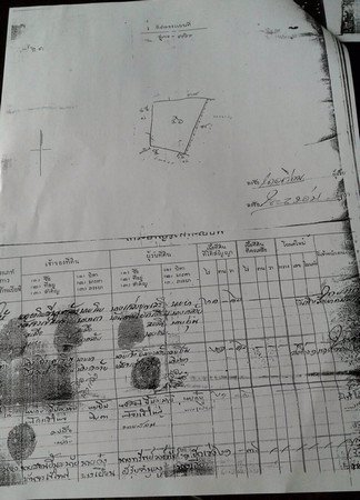 ขายด่วนที่ดินเปล่า-21-ไร่-36-ตารางวา-อ-บางปลาม้า-จ-สุพรรณบุรี