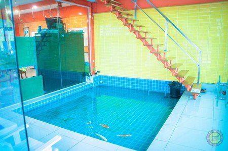 สำนักงานและโกดัง-ขาย-ให้เช่า-พื้นที่ขนาดใหญ่-ถึง-5-ไร่-พื้นที่ใช้สอย-1500-ตรม