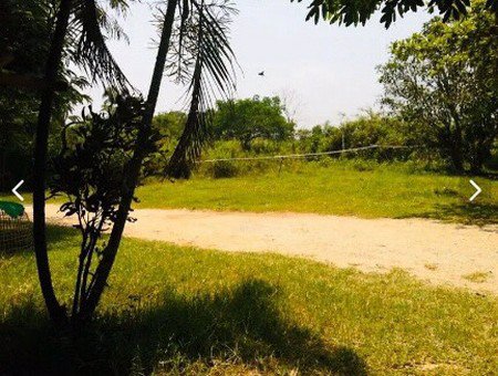 ขายที่ดิน-อำเภอเมืองเชียงราย-ติดถนนใหญ่ที่สวยทำเลดี