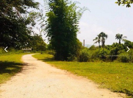 ขายที่ดิน-อำเภอเมืองเชียงราย-ติดถนนใหญ่ที่สวยทำเลดี