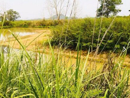 ขายที่ดิน-อำเภอเมืองเชียงราย-ติดถนนใหญ่ที่สวยทำเลดี