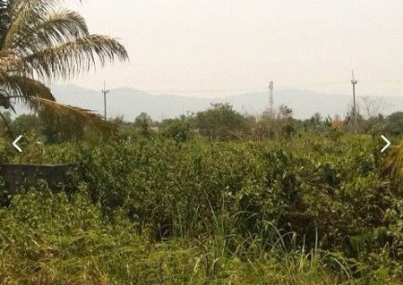 ขายที่ดิน-อำเภอเมืองเชียงราย-ติดถนนใหญ่ที่สวยทำเลดี