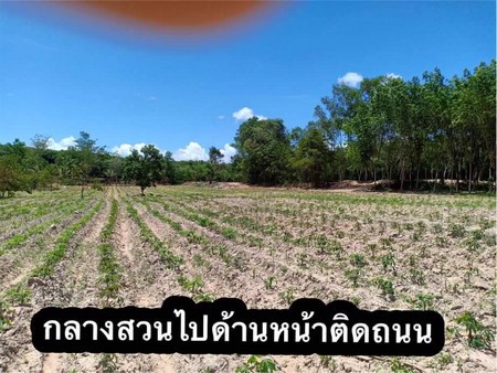 ขายที่ดินทำเลทอง​โฉนด​-25ไร่-พื้นที่จริง​-29​-ไร่-อ-บ้านกรวด-จ-บุรีรัมย์