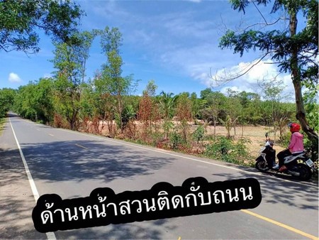 ขายที่ดินทำเลทอง​โฉนด​-25ไร่-พื้นที่จริง​-29​-ไร่-อ-บ้านกรวด-จ-บุรีรัมย์