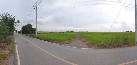 ขายด่วนที่ดินติดถนนคอนกรีตสาธารณะ39-ไร่-3-งาน-28-ตรวา-จอยุธยา