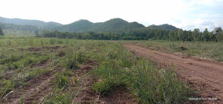 ด่วนขายที่ดินทำเลวิวเขาจำนวน-2ไร่-และ-3ไร่จำนวนจำกัด-จสุพรรณบุรี