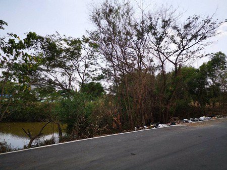 ขายด่วนที่ดินสำหรับลงทุนทำธุรกิจมี-2โฉนด-จพระนครศรีอยุธยา