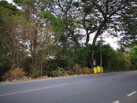 ขายด่วนที่ดินสำหรับลงทุนทำธุรกิจมี-2โฉนด-จพระนครศรีอยุธยา