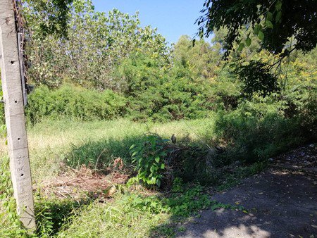 ขายที่ดินเปล่าทำเลดี-เนื้อที่-134-ตรว-อยู่พหลโยธิน-64