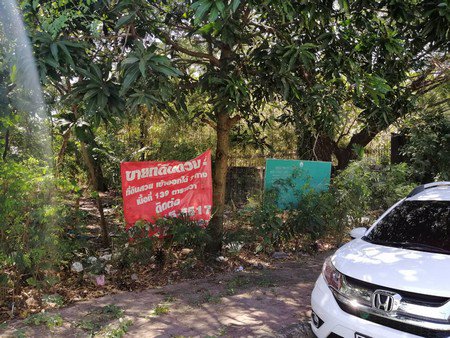 ขายที่ดินเปล่าทำเลดี-เนื้อที่-134-ตรว-อยู่พหลโยธิน-64