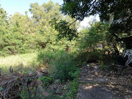 ขายที่ดินเปล่าทำเลดี-เนื้อที่-134-ตรว-อยู่พหลโยธิน-64