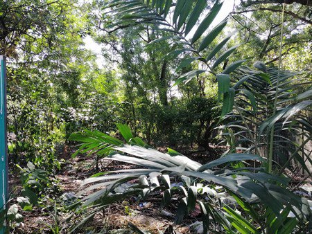 ขายที่ดินเปล่าทำเลดี-เนื้อที่-134-ตรว-อยู่พหลโยธิน-64