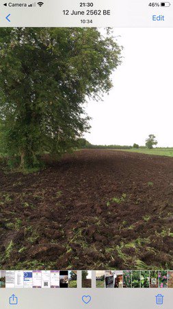 ขายด่วนที่ดินเปล่าทำเลดี-อพัฒนานิคม-จลพบุรี-โทร-0922488216