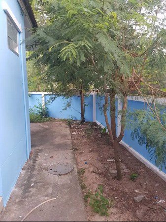 ขายบ้านเดี่ยวชั้นเดียว-หมู่บ้านศศิธร-16-จระยอง-พื้นที่เยอะ-สามารถต่อเติมได้อีก