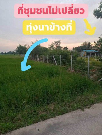 ขายที่ดิน-จังหวัดนครนายก-ที่สวยมองเห็นวิวภูเขา