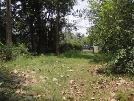 ขายที่ดิน-17-ไร่-1-งาน-ใกล้บิ๊กซี-ซูเปอร์เซ็นเตอร์-ขอนแก่น-สาขา-2-น้ำไม่ท่วม