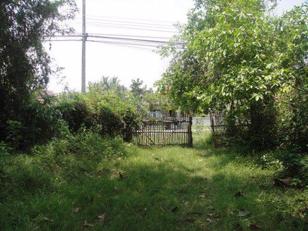 ขายที่ดิน-17-ไร่-1-งาน-ใกล้บิ๊กซี-ซูเปอร์เซ็นเตอร์-ขอนแก่น-สาขา-2-น้ำไม่ท่วม