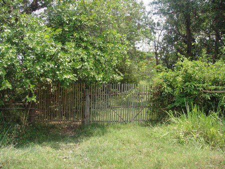 ขายที่ดิน-17-ไร่-1-งาน-ใกล้บิ๊กซี-ซูเปอร์เซ็นเตอร์-ขอนแก่น-สาขา-2-น้ำไม่ท่วม