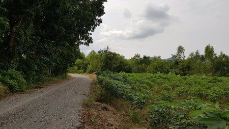 ขายด่วนที่ดินมีโฉนด-ไม่ใช่-สปก-จำนวน-72-ไร่-2-งาน-88-ตารางวา