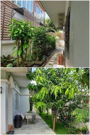 ขายบ้านเดี่ยว-2-ชั้น-หมู่บ้านนันท์นลินปาร์คโฮม-เฟส-4-ทำเลดี-บ้านสวยมีบริเวณ