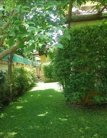 ขายบ้านสวย-2-ชั้น-3-ห้องนอน-3-ห้องน้ำ-หมู่บ้านรุ่งอรุณ-3-หางดง-เชียงใหม่