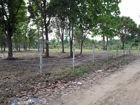 ขายที่ดินสวยติดอ่างน้ำขนาดใหญ่-3-ไร่-53-ตารางวา-น้ำแพร่-หางดง-เชียงใหม่